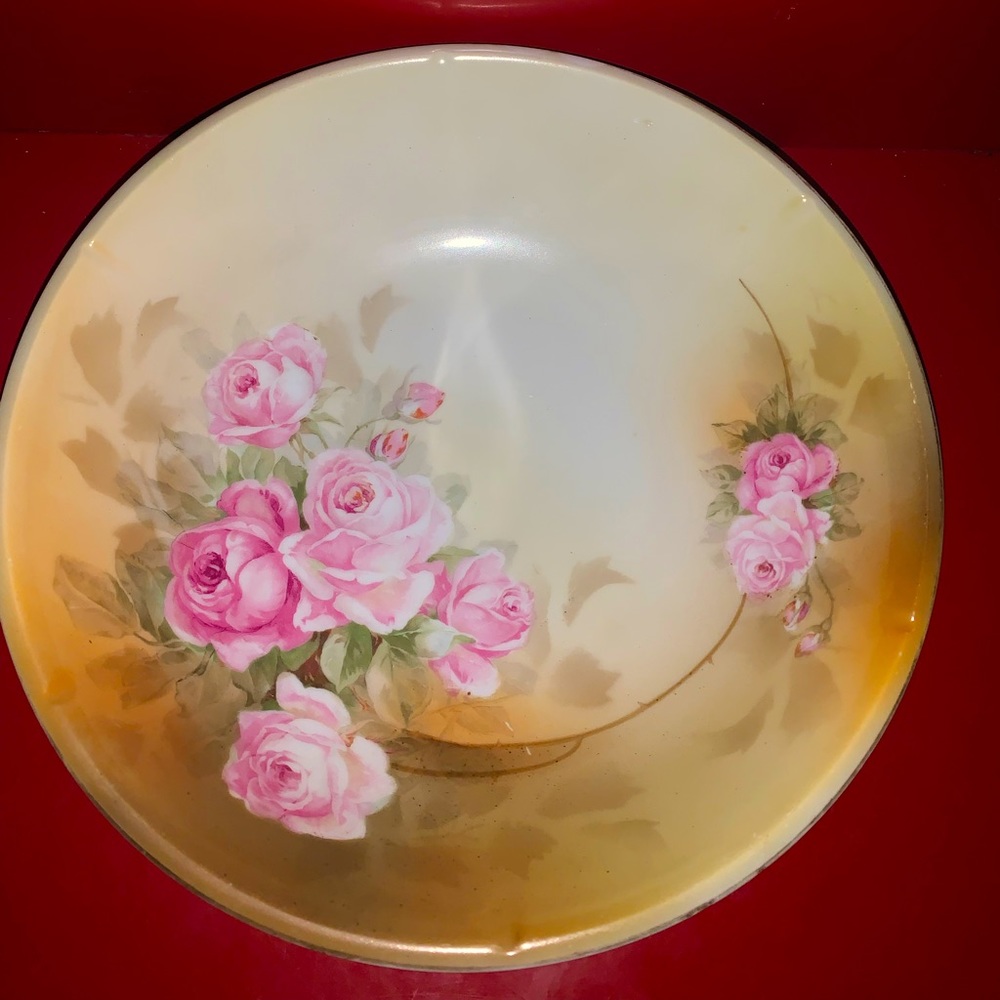 Beautiful Hand Painted RS Germany Porcelain Bowl